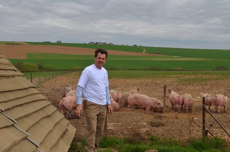 Gourmetfleisch.de - alte Schweinerassen (2)