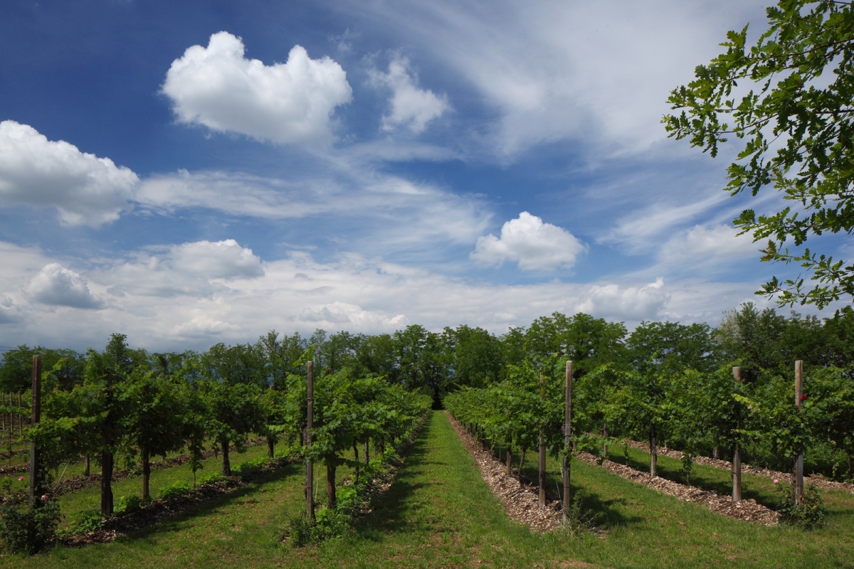 ©Rose Marie Donhauser für garcon24.de ©Rose Marie Donhauser für garcon24.de